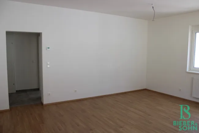 Wohnzimmer - Vorraum