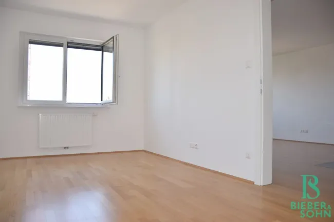 Zimmer