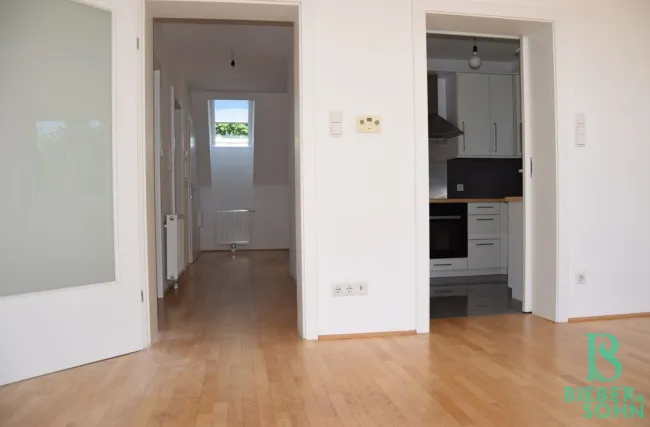 Blick Küche/Vorraum