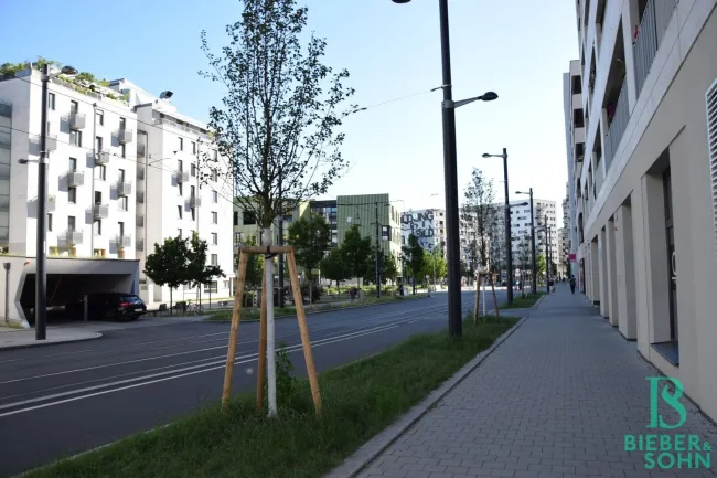 Zufahrtstrasse