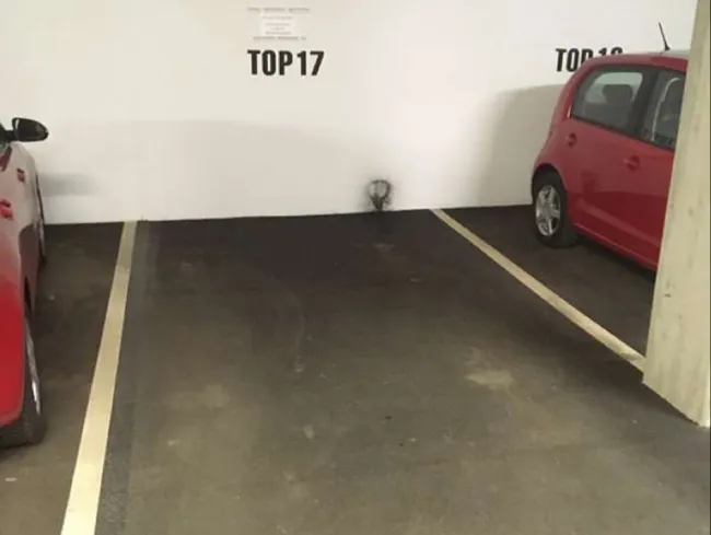 TG-Platz Hall i.T. – ruhig | 2,1 m Höhe | einzeln oder 2x verfügbar - Bild