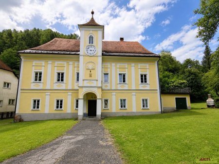 Historisches Zinshaus mit fünf Wohneinheiten in zentraler Lage von Trieben