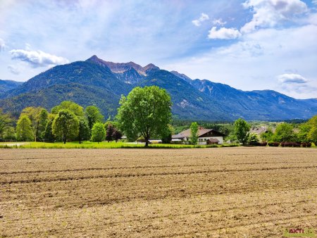 Baugrundstück mit Grünblick in Berg im Drautal.