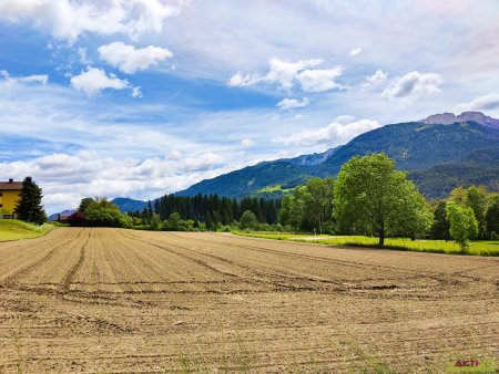 Baugrundstück mit Grünblick in Berg im Drautal.