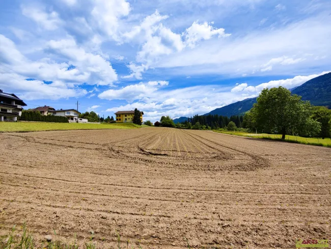 Baugrundstück mit Grünblick in Berg im Drautal. - Titelbild