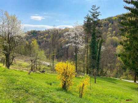 1.090 m² Grundstück in Kranach mit sonniger Lage im Ferienwohngebiet.