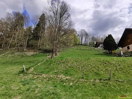 Wohnen in Ruhelage: Baugrundstück mit guter Infrastruktur in Niederöblarn.