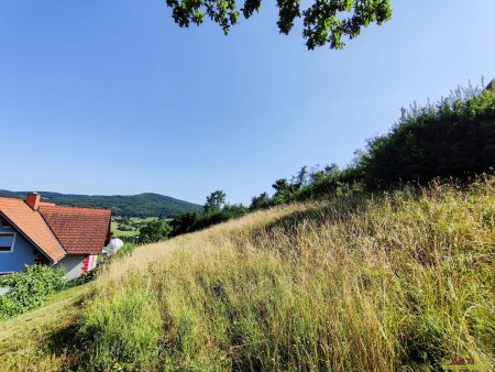 Attraktiver Baugrund mit 1.860 m² Bauland und Projekt für Mehrfamilienhaus.