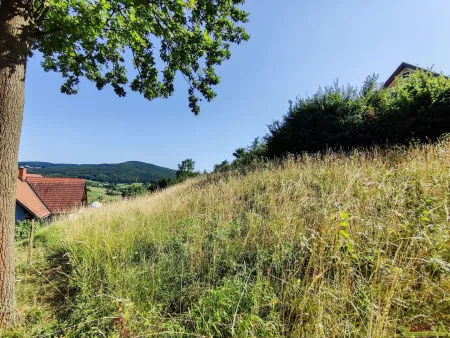 Attraktiver Baugrund mit 1.860 m² Bauland und Projekt für Mehrfamilienhaus.