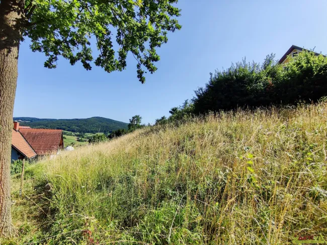 Attraktiver Baugrund mit 1.860 m² Bauland und Projekt für Mehrfamilienhaus. - Titelbild