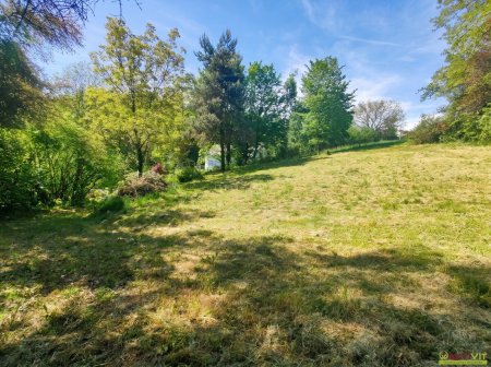 Attraktives Grundstück mit Grünblick in Stallhofen nahe Graz