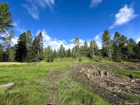 Großzügiges Grundstück im reinen Kurgebiet in Albeck - Region Hochrindl.