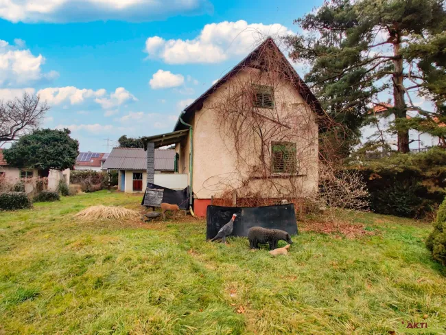 Großes Potential zentral in Gratwein. - Bis zu ca. 300 m² Nutzfläche möglich. - Chance für As-Sanierung. - Bild