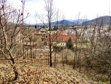 Großzügiges Baugrundstück mit Potenzial. - Verkauf auch in Teilflächen möglich und bis zu 1.450 m² Bruttogeschoßfläche realisierbar.