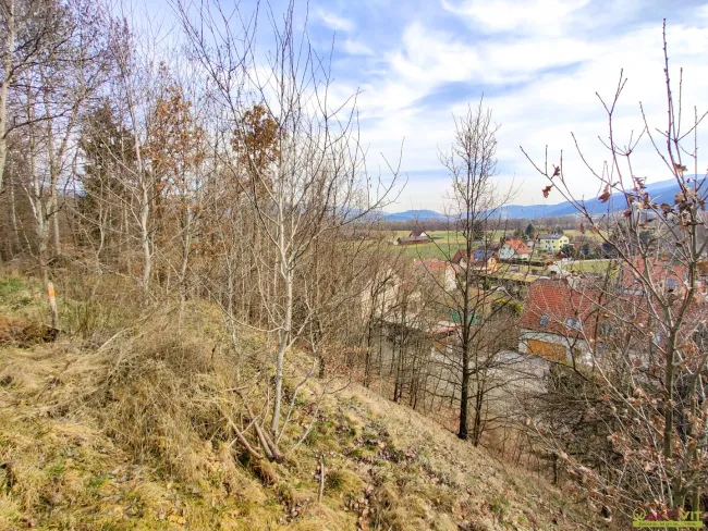 Großzügiges Baugrundstück mit Potenzial. - Verkauf auch in Teilflächen möglich und bis zu 1.450 m² Bruttogeschoßfläche realisierbar. - Titelbild