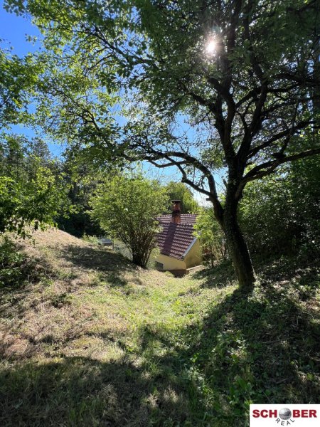 Idyllische Waldrandruhelage