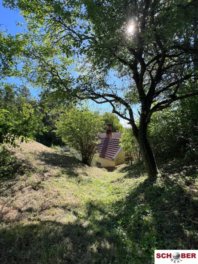 Idyllische Waldrandruhelage - Titelbild