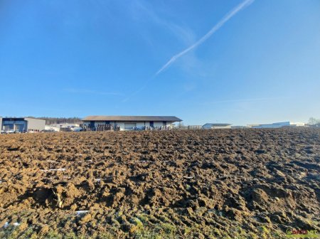 11.489 m² Grundstück mit Industriegebiet und Grünfläche in Markt Hartmannsdorf