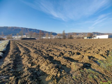 11.489 m² Grundstück mit Industriegebiet und Grünfläche in Markt Hartmannsdorf