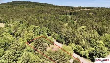 2.061 m2 Traumgrund neben dem Wald