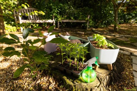 Kleingarten zur Pacht. - Neue Gartenanlage in Planung: Jetzt vormerken lassen!