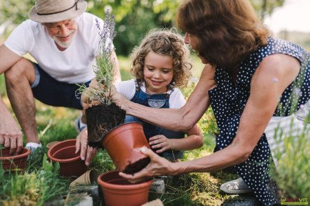 Kleingarten zur Pacht. - Neue Gartenanlage in Planung: Jetzt vormerken lassen!