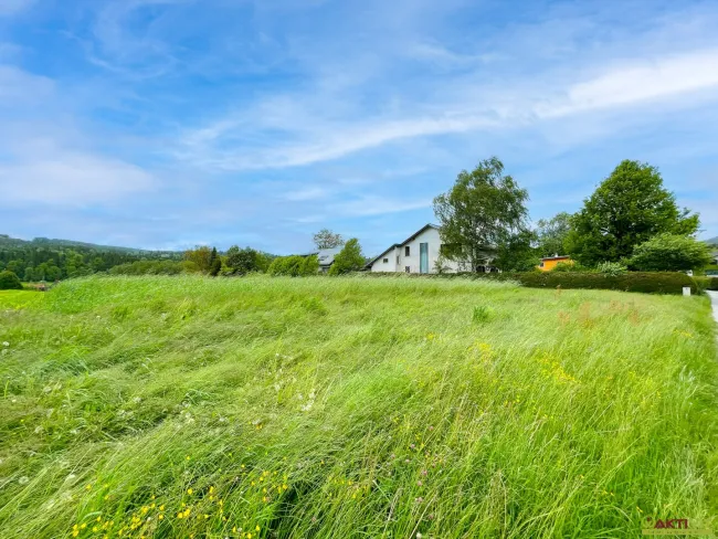 Naturnahes Bauland nur 5 Min. nach Graz. - Platz für ihr Traumhaus im Grünen. - Bild
