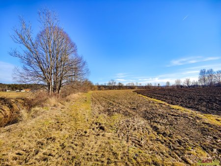 Ebenes Landwirtschaftliches Grundstück bei Söding. - Potential zur Vergrößerung mit + 2,1 ha.