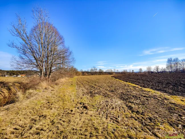 Ebenes Landwirtschaftliches Grundstück bei Söding. - Potential zur Vergrößerung mit + 2,1 ha. - Bild