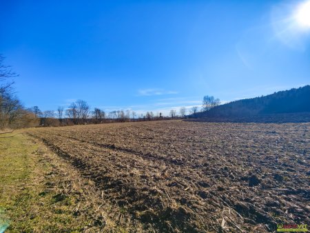 Ebenes Landwirtschaftliches Grundstück bei Söding. - Potential zur Vergrößerung mit + 2,1 ha.