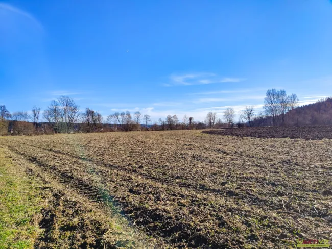Ebenes Landwirtschaftliches Grundstück bei Söding. - Potential zur Vergrößerung mit + 2,1 ha. - Titelbild