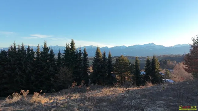 Wohnbau-Grund am Köstenberg. - Naturnahe Aussichtslage nahe dem Wörthersee. - Bild