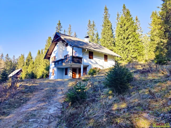 Besonderes Erleben auf über 1.550m Seehöhe. - Gepflegtes Haus direkt am "Gaberl". - Bild