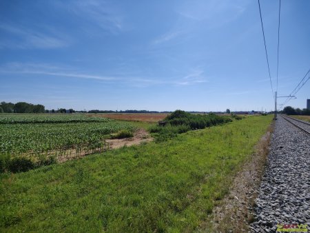 Gewerbe-Grundstück direkt beim Autobahn-Anschluss. - Flexible Größen bis 60.400 m² - Großes Potential.
