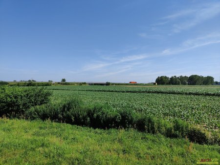 Gewerbe-Grundstück direkt beim Autobahn-Anschluss. - Flexible Größen bis 60.400 m² - Großes Potential.