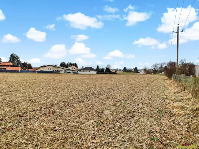 Pacht oder Baurecht an der Grenze zu DE. - Großes Betriebs-Baugebiet direkt an der Autobahn A8! - Bild