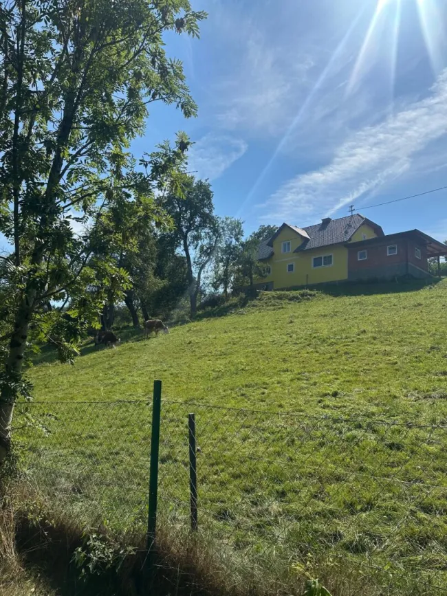 Ausblick hinter dem Haus