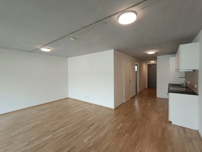 Wohnzimmer_Essbereich_Küche