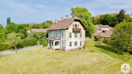 Historische Villa - großzügiges Grundstück - Familienidylle - Grünruhelage - Nähe Wien