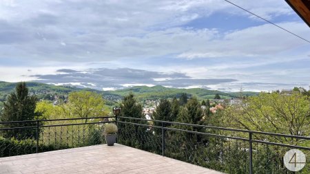 Klimatisierte Villa mit Weitblick I 10 Minuten Fahrzeit nach Wien I Wellness, Fitnessraum & Kamin I Terrassen, Balkon & Garten I Hochwertige Ausstattung
