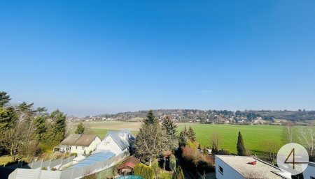 Stadtvilla mit parkartigen Garten - 1953m² Grundstücksfläche - direkt am Bisamberg - privat Zugang zum Wald - Grünblick - Ruhelage
