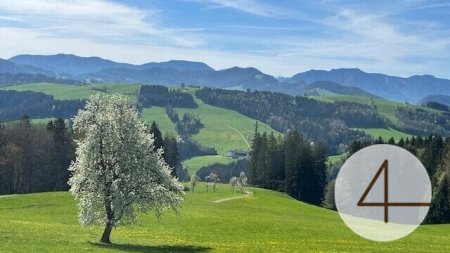 Apfelblüte im Mostviertel - Baugründe in wunderschöner, sonniger Lage!