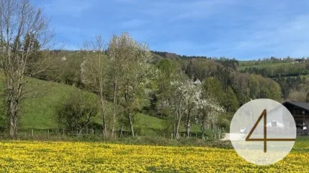 Apfelblüte im Mostviertel - Baugründe in wunderschöner, sonniger Lage! - Bild