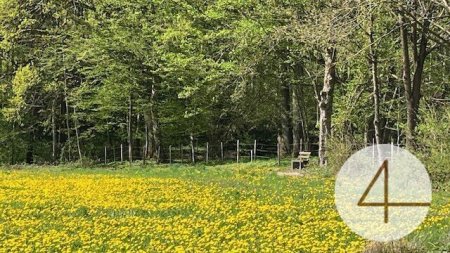 Bungalow in sonniger Lage - individuell planbar - Lehm für Ihre Wohngesundheit