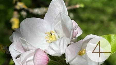 Baugründe in wunderschöner, sonniger Lage! Ein Höchstmaß an Lebensqualität!