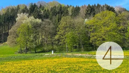 Höchstmaß an Wohnqualität in Ihrem individuell planbaren Stockhaus in sonniger Lage! - Bild