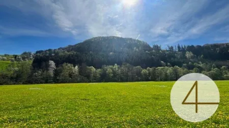 Höchstmaß an Wohnqualität in Ihrem individuell planbaren Stockhaus in sonniger Lage! - Bild