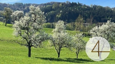 Für ein natürliches Wohlfühlerlebnis – individuell planbares Stockhaus in sonniger Lage!