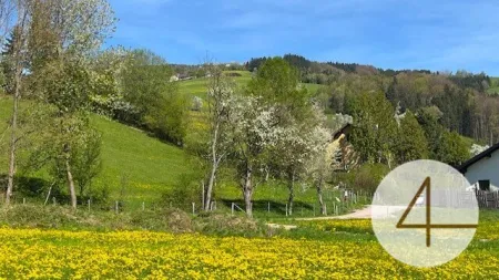 Im Mostviertel blühen wieder die Bäume ... - Baugründe in wunderschöner, sonniger Lage! - Bild