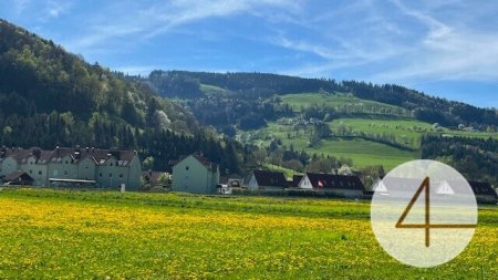 Im Mostviertel blühen wieder die Bäume ... - Baugründe in wunderschöner, sonniger Lage!